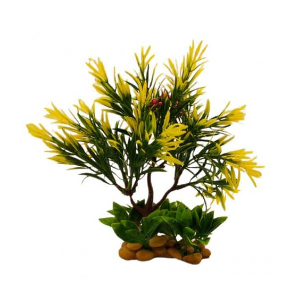 ΔΙΑΚΟΣΜΗΤΙΚΟ ΦΥΤΟ ΕΝΥΔΡΕΙΟΥ 23Χ9CM